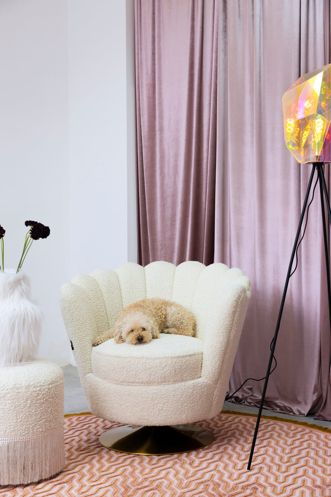 Mother Of All Shells Lounge Chair Teddy Natural in room setting with a small dog laying on it.