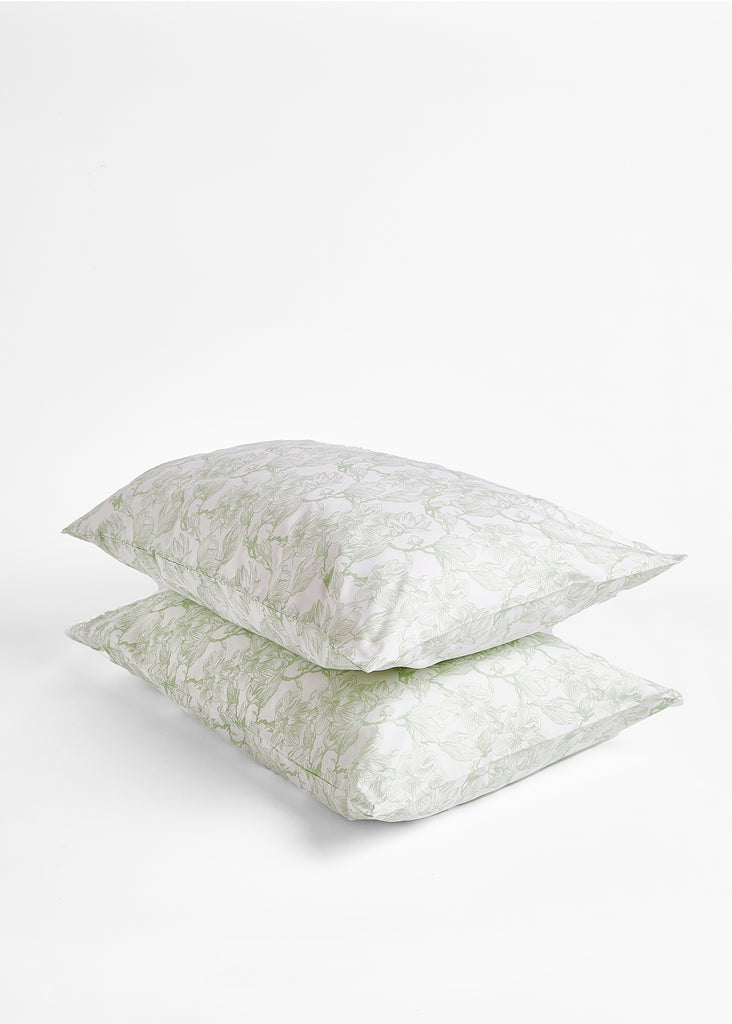 Crafted from 100% cotton, the Foxford Sage Magnolia Pillowcase Set features a serene magnolia pattern that brings elegance to any space. Its luxurious fabric ensures a comfortable and revitalizing sleep. The set includes two pillowcases.